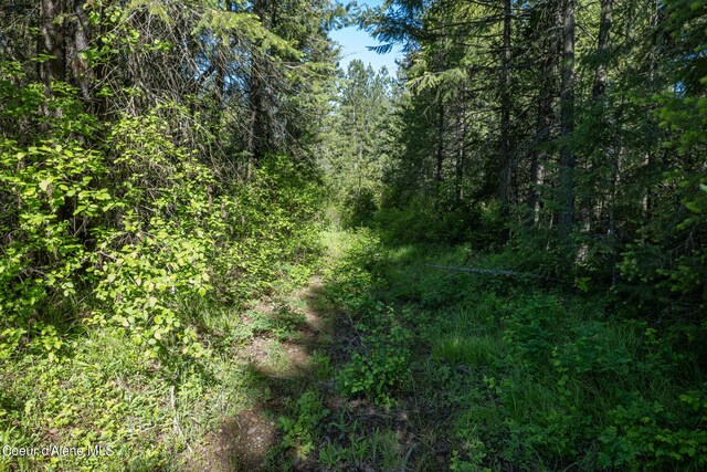 NKALOT3 Flat Iron, Spirit Lake, ID 83869
