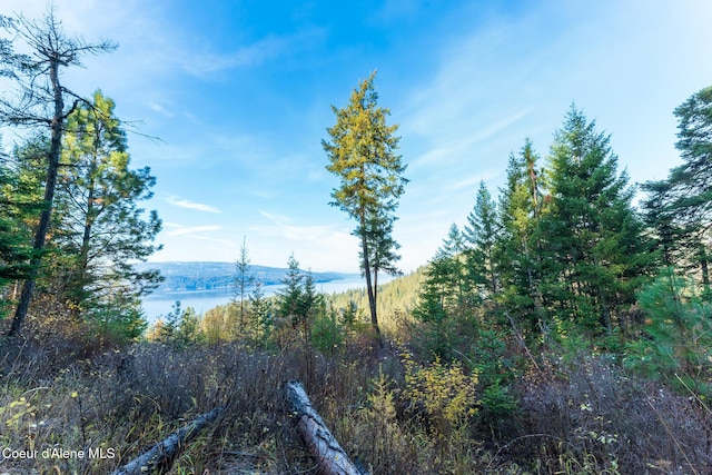 NKA39-AC Half Round Bay Rd, Harrison, ID 83833