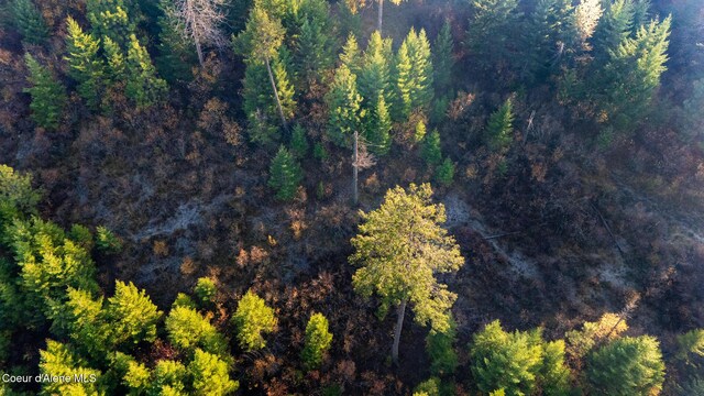 NKA39-AC Half Round Bay Rd, Harrison, ID 83833