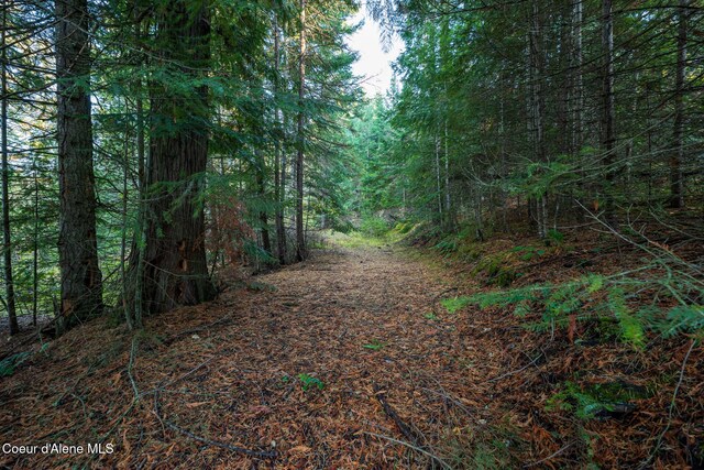 NKA39-AC Half Round Bay Rd, Harrison, ID 83833