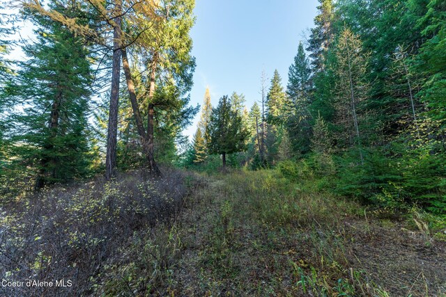 NKA39-AC Half Round Bay Rd, Harrison, ID 83833