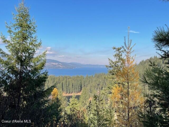 NKA39-AC Half Round Bay Rd, Harrison, ID 83833