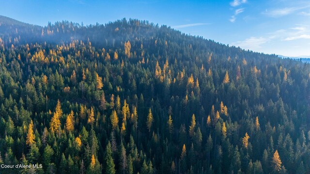 NKA39-AC Half Round Bay Rd, Harrison, ID 83833