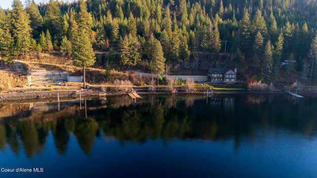 NKA39-AC Half Round Bay Rd, Harrison, ID 83833