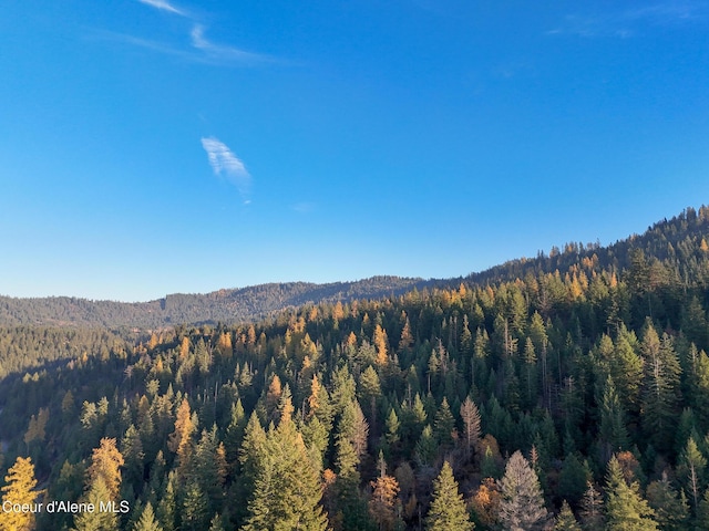 NKA39-AC Half Round Bay Rd, Harrison, ID 83833
