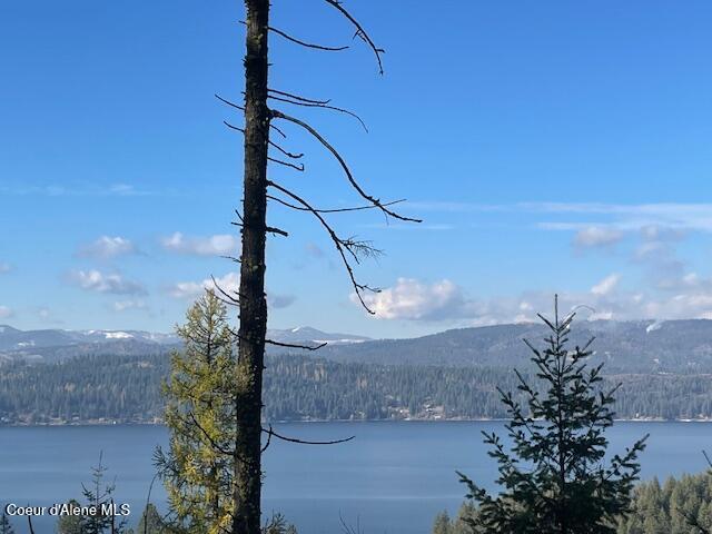 NKA39-AC Half Round Bay Rd, Harrison, ID 83833