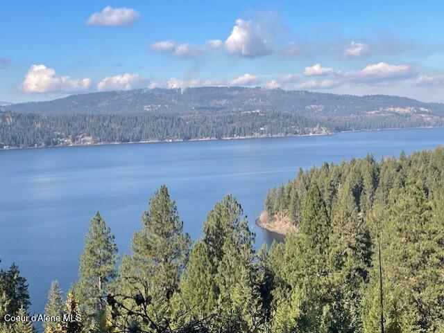 NKA39-AC Half Round Bay Rd, Harrison, ID 83833