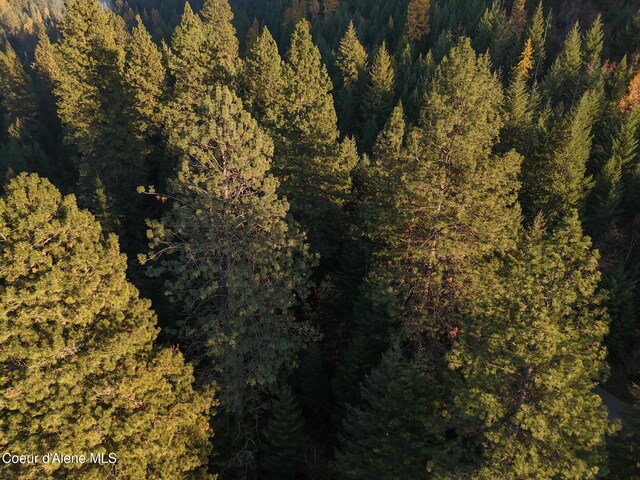 NKA39-AC Half Round Bay Rd, Harrison, ID 83833