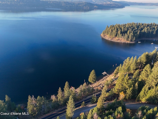 NKA39-AC Half Round Bay Rd, Harrison, ID 83833
