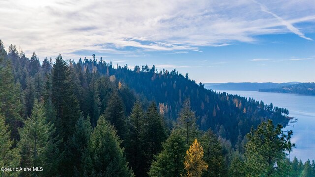 NKA39-AC Half Round Bay Rd, Harrison, ID 83833