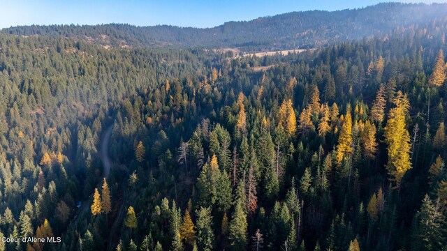NKA39-AC Half Round Bay Rd, Harrison, ID 83833