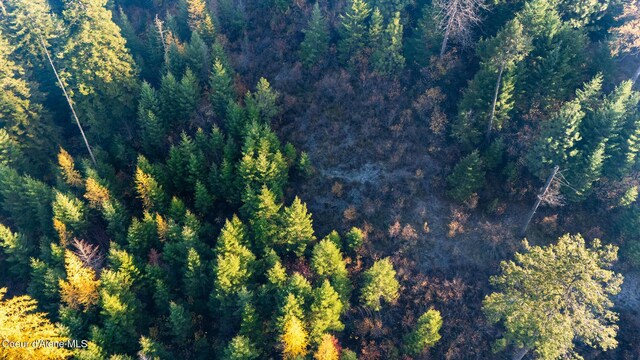 NKA39-AC Half Round Bay Rd, Harrison, ID 83833