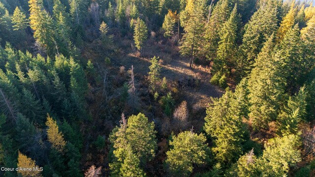 NKA39-AC Half Round Bay Rd, Harrison, ID 83833