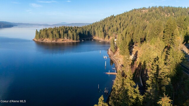 NKA39-AC Half Round Bay Rd, Harrison, ID 83833