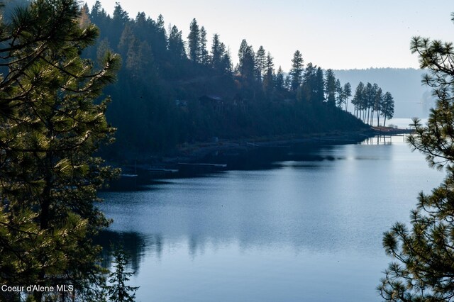 NKA39-AC Half Round Bay Rd, Harrison, ID 83833