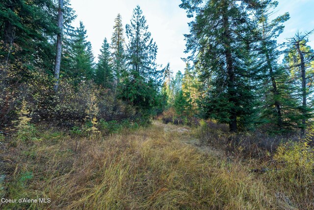 NKA39-AC Half Round Bay Rd, Harrison, ID 83833