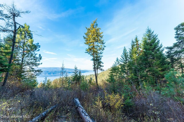 NKA39-AC Half Round Bay Rd, Harrison, ID 83833