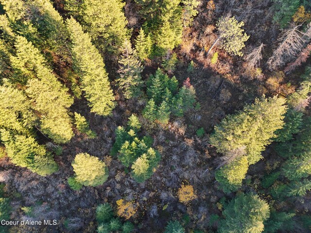 NKA39-AC Half Round Bay Rd, Harrison, ID 83833