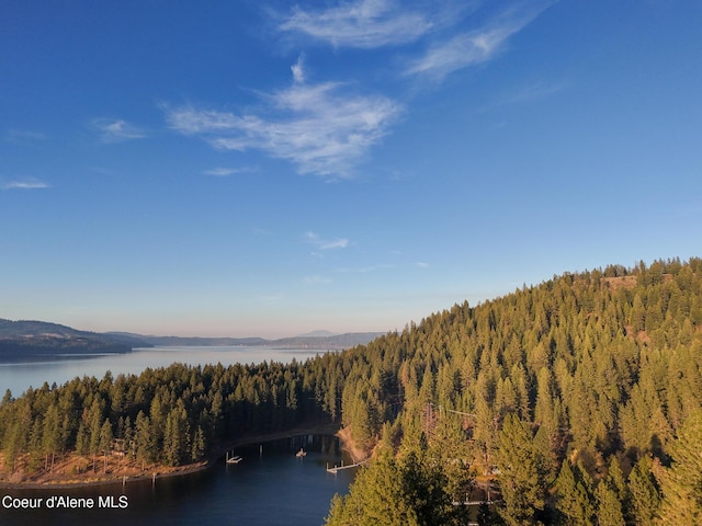 NKA39-AC Half Round Bay Rd, Harrison, ID 83833