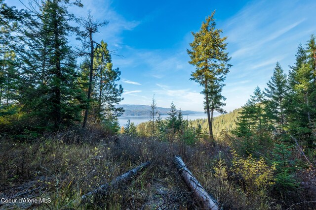 NKA39-AC Half Round Bay Rd, Harrison, ID 83833