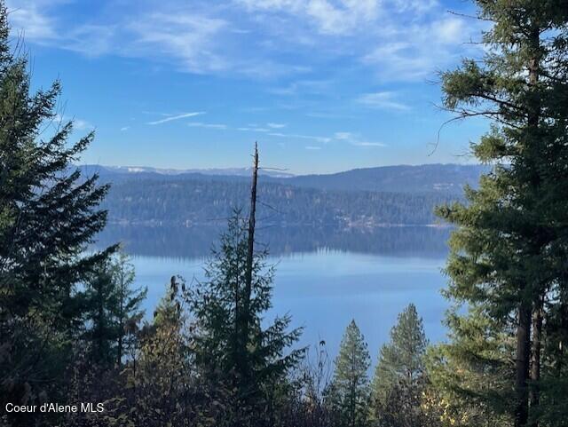 NKA39-AC Half Round Bay Rd, Harrison, ID 83833