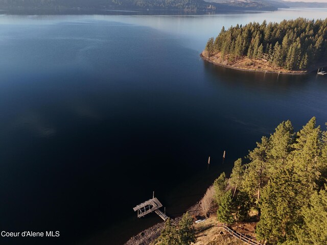 NKA39-AC Half Round Bay Rd, Harrison, ID 83833