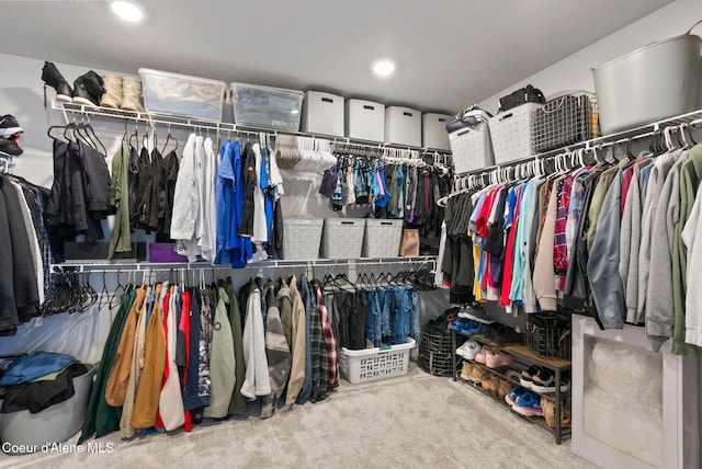 3062 N Coco St, Post Falls, ID 83854 - spacious closet featuring carpet