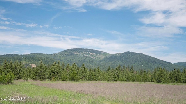13257 N Zodiac Loop, Rathdrum, ID 83858