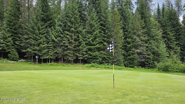 LOT11 Fairway Dr, Priest Lake, ID 83856 - photo 3