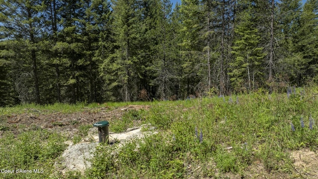 TBD Kreiger Creek Rd Lot 1, Careywood, ID 83809