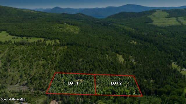 TBD Kreiger Creek Rd Lot 1, Careywood, ID 83809