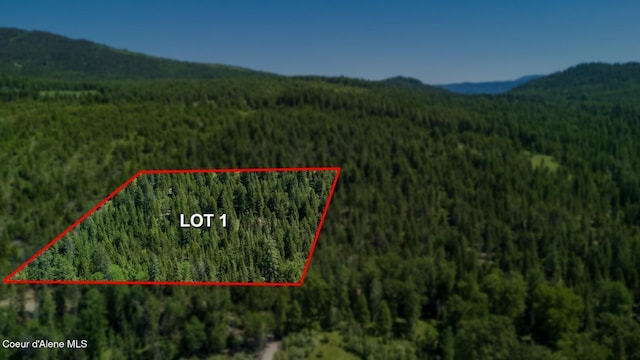 TBD Kreiger Creek Rd Lot 1, Careywood, ID 83809