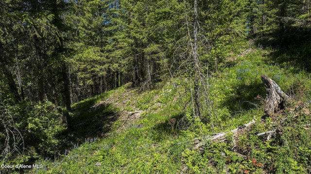 TBD Kreiger Creek Rd Lot 1, Careywood, ID 83809
