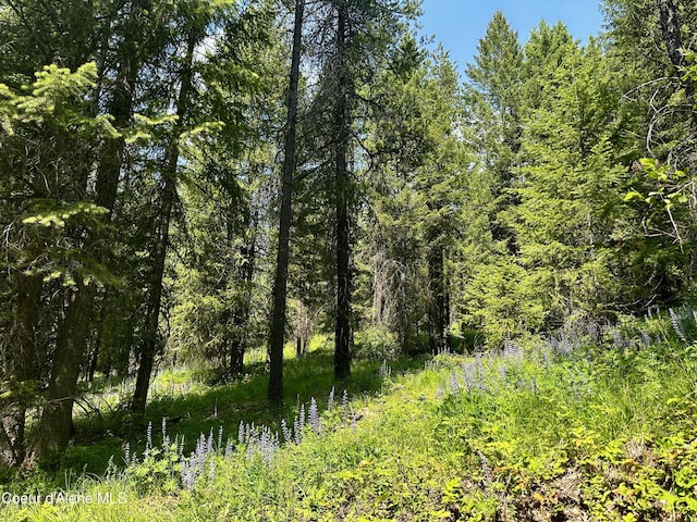 TBD Kreiger Creek Rd Lot 1, Careywood, ID 83809