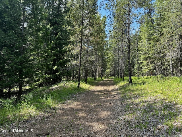 TBD Kreiger Creek Rd Lot 1, Careywood, ID 83809