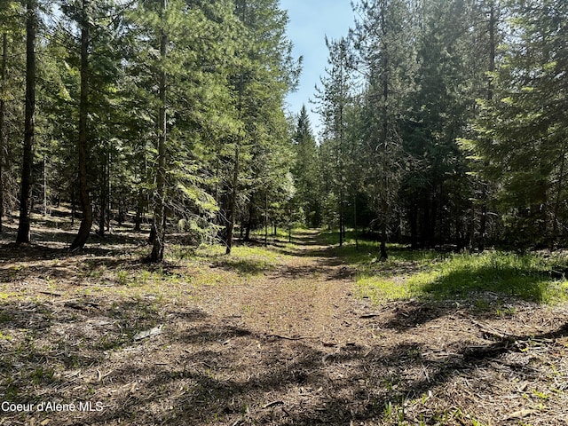 TBD Kreiger Creek Rd Lot 1, Careywood, ID 83809