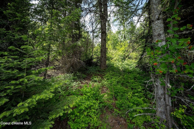 0 Vogel Rd, Worley, ID 83876 - photo 21