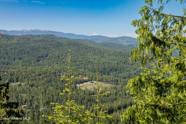 NKA60-AC Eichs Rd, Cocolalla, ID 83813