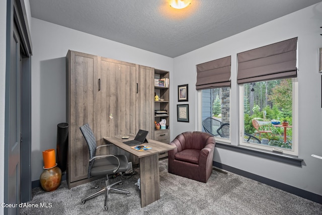 6036 W Sparrowhawk Dr, Rathdrum, ID 83858 - carpeted office with baseboards and a textured ceiling