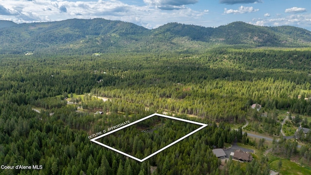 6036 W Sparrowhawk Dr, Rathdrum, ID 83858 - view of mountain background featuring a forest