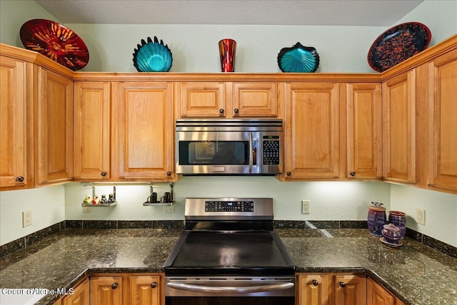 1010 E Mullan Ave Unit 202, Coeur Dalene, ID 83814 - kitchen featuring appliances with stainless steel finishes, brown cabinets, and dark stone countertops