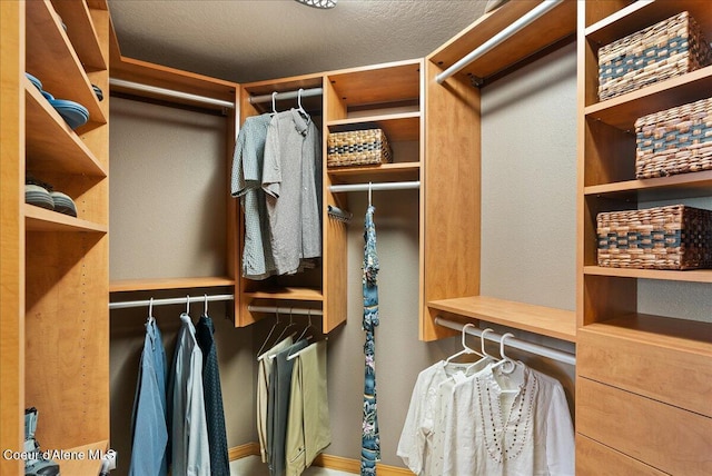 1010 E Mullan Ave Unit 202, Coeur Dalene, ID 83814 - view of walk in closet