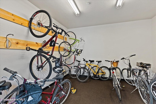 1010 E Mullan Ave Unit 202, Coeur Dalene, ID 83814 - view of garage