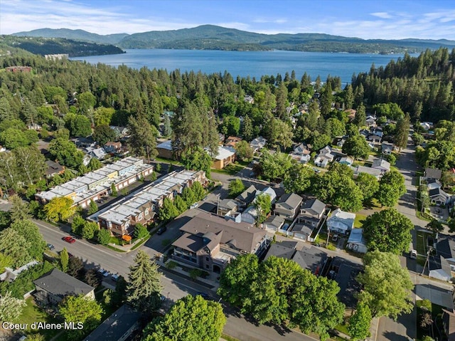 1010 E Mullan Ave Unit 202, Coeur Dalene, ID 83814 - aerial view of property's location with a water and mountain view, nearby suburban area, and a forest