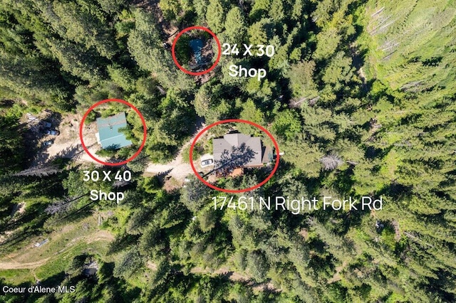 17461 N Right Fork Rd, Hauser, ID 83854 - bird's eye view