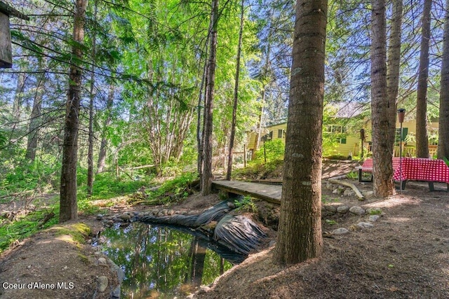 17461 N Right Fork Rd, Hauser, ID 83854 - view of yard