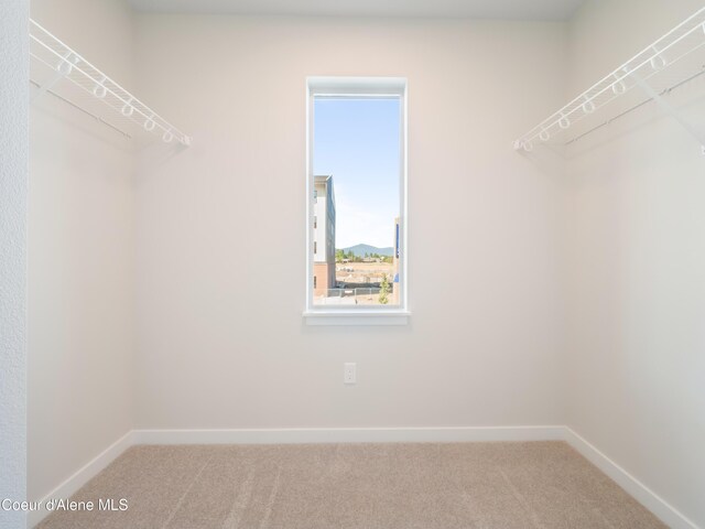 1008 E 4th Ave # 104, Post Falls, ID 83854 - walk in closet with carpet flooring