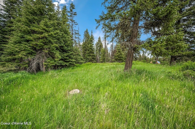 100 Timberline Dr, Saint Maries, ID 83861