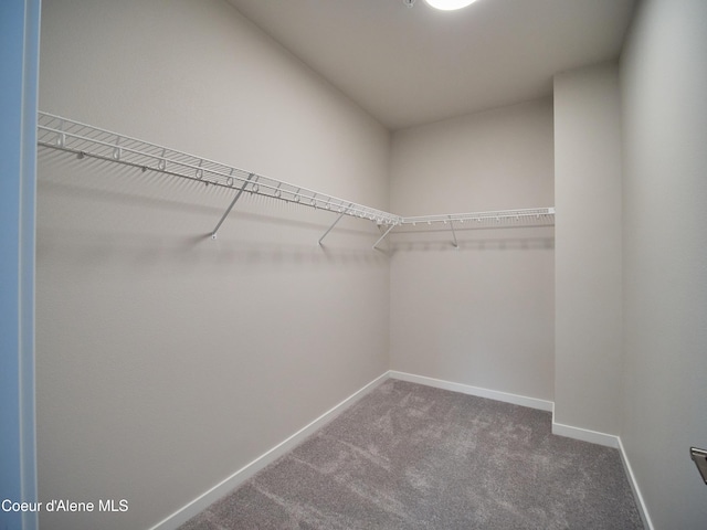 928 E Railroad Ave, Post Falls, ID 83854 - spacious closet with carpet