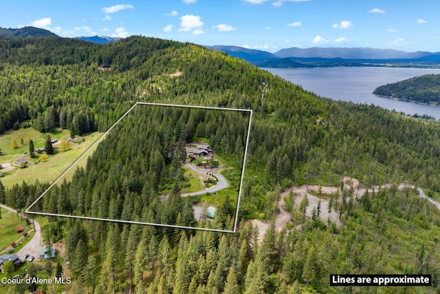 295 Sky Meadow Ln, Sagle, ID 83860 - aerial view of property's location with a heavily wooded area, a water and mountain view, and property parcel outlined